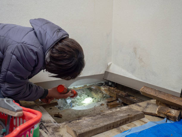 Best Commercial Mold Inspection  in Lighthouse Point, FL