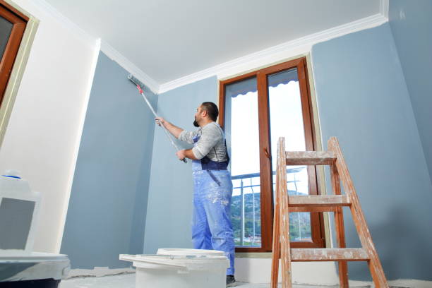 Best Mold Documentation for Insurance Claims  in Lighthouse Point, FL
