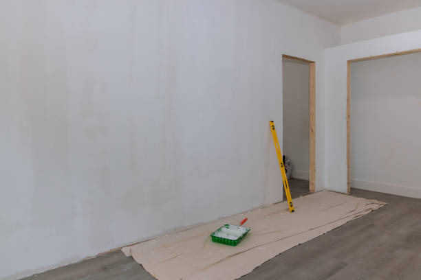 Best Environmental Consulting for Mold Prevention  in Lighthouse Point, FL