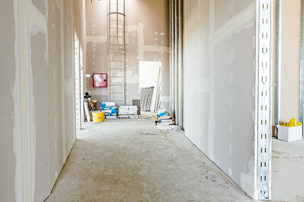 Mold Odor Removal Services in Lighthouse Point, FL